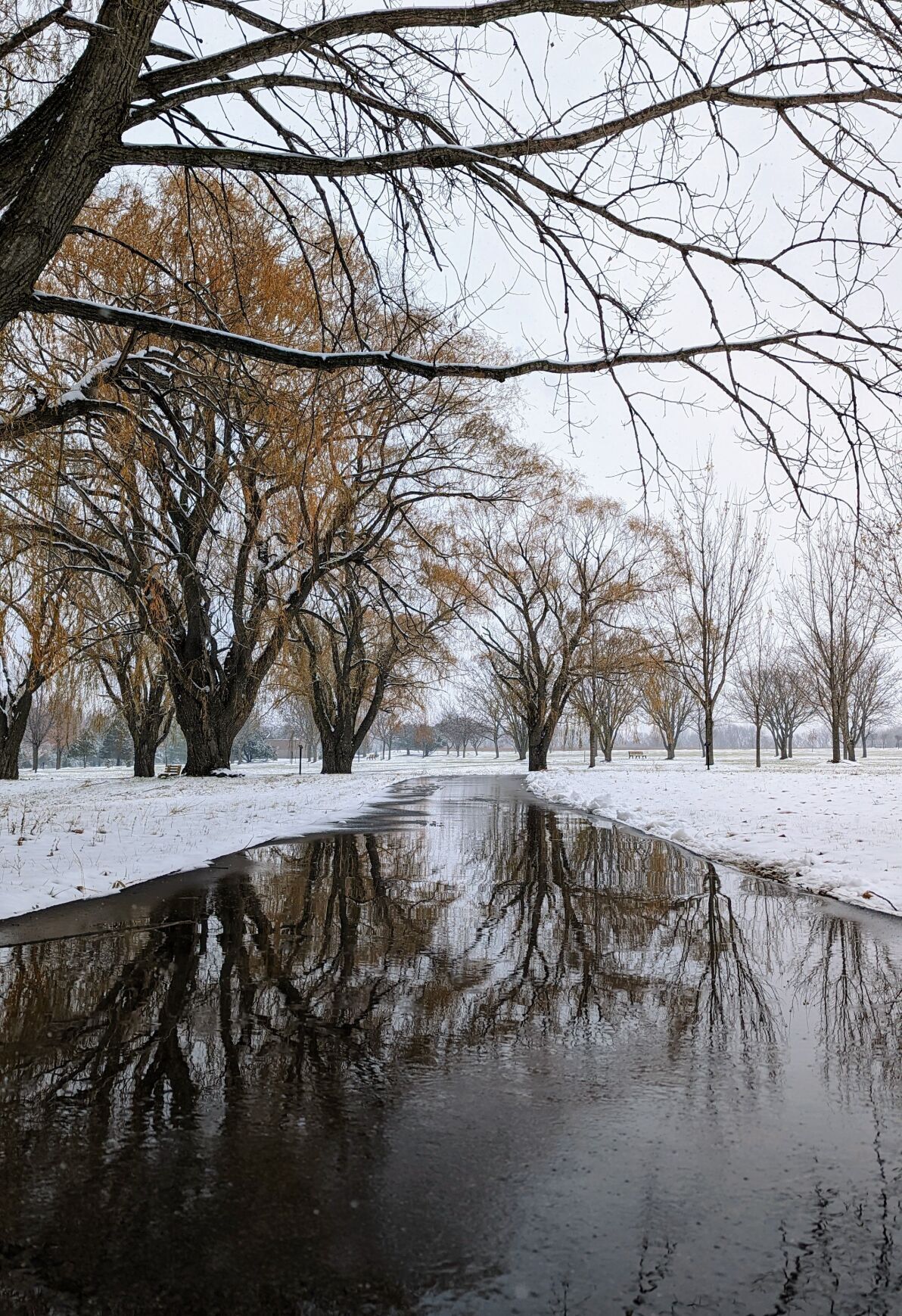 Winter in Northern Iowa - Arboretum